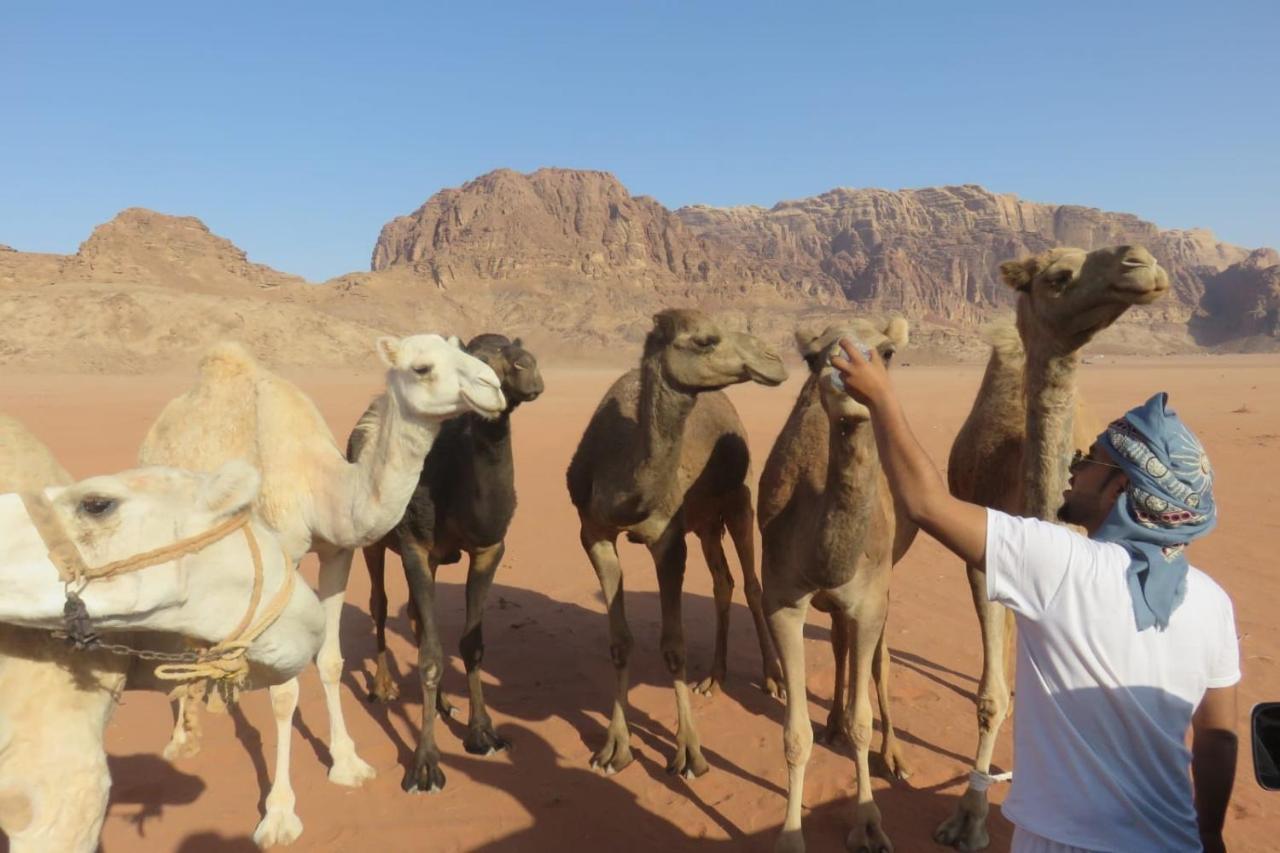 فندق Wadirum Sunset Camp وادي رم المظهر الخارجي الصورة